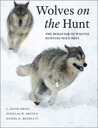 Бумажная книга «Wolves on the Hunt: The Behavior of Wolves Hunting Wild Prey», авторов Дэниел Р. Макналти, Дуглас В. Смит, Л. Дэвид Мех - фото №1
