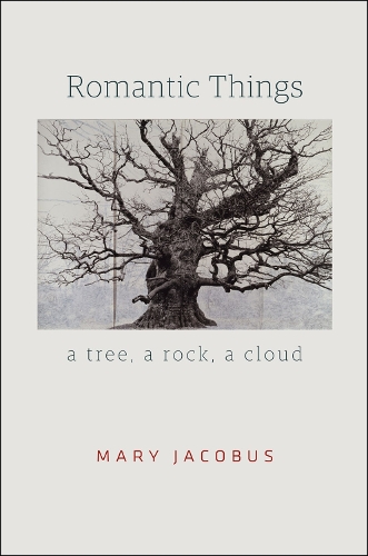 Бумажная книга «Romantic Things: A Tree, a Rock, a Cloud», автор Мэри Якобус - фото №1