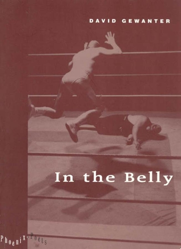 Бумажная книга «In the Belly», автор Дэвид Гевантер - фото №1