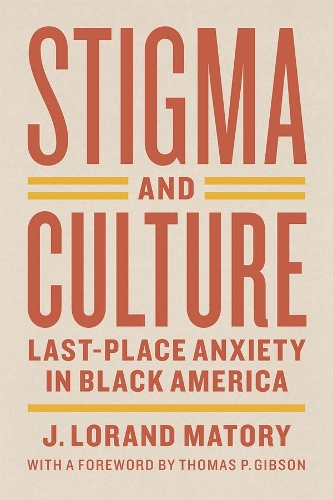 Бумажная книга «Stigma and Culture: Last-Place Anxiety in Black America», авторов Дж. Лоранд Матори, Томас П. Гибсон - фото №1