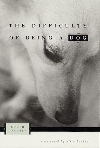 Бумажная книга «The Difficulty of Being a Dog», автор Роджер Гренье - фото №1