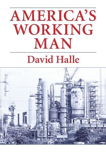 Бумажная книга «America's Working Man: Work, Home, and Politics Among Blue Collar Property Owners», автор Дэвид Халле - фото №1