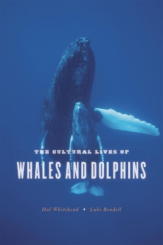 Бумажная книга «The Cultural Lives of Whales and Dolphins», авторов Хэл Уайтхед, Люк Ренделл - фото №1