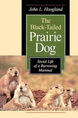 Бумажная книга «The Black-Tailed Prairie Dog: Social Life of a Burrowing Mammal», автор Джон Л. Хугланд - фото №1