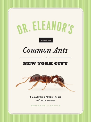 Бумажная книга «Dr. Eleanor's Book of Common Ants of New York City», авторов Алекс Уайлд, Элеонора Спайсер Райс, Роб Данн - фото №1