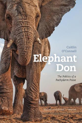Бумажная книга «Elephant Don: The Politics of a Pachyderm Posse», автор Кейтлин О'Коннелл - фото №1