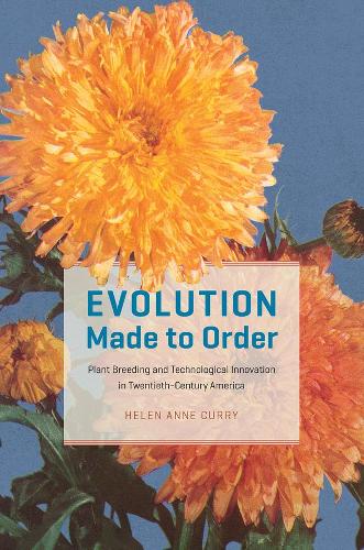 Паперова книга «Evolution Made to Order: Plant Breeding and Technological Innovation in Twentieth-Century America», автор Хелен Енн Каррі - фото №1