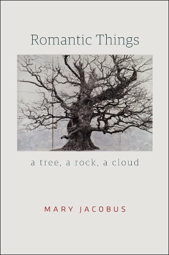 Бумажная книга «Romantic Things: A Tree, a Rock, a Cloud», автор Мэри Якобус - фото №1
