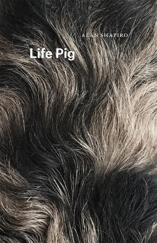 Паперова книга «Life Pig», автор Алан Шапіро - фото №1