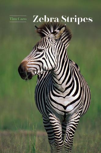 Паперова книга «Zebra Stripes», автор Тім Каро - фото №1