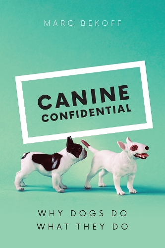 Бумажная книга «Canine Confidential: Why Dogs Do What They Do», автор Марк Бекофф - фото №1