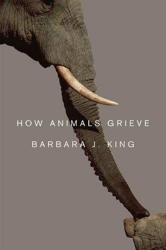 Бумажная книга «How Animals Grieve», автор Барбара Дж. Кинг - фото №1