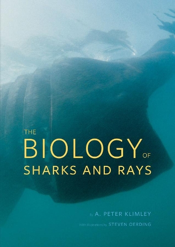 Бумажная книга «The Biology of Sharks and Rays», автор A. Питер Климли - фото №1