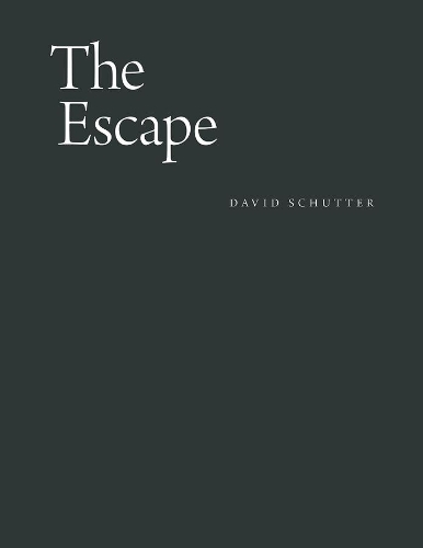 Бумажная книга «The Escape: From a Seventeenth-Century Drawing Manual of the Face and Its Expressions», автор Дэвид Шуттер - фото №1
