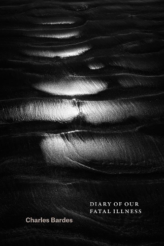 Бумажная книга «Diary of Our Fatal Illness», автор Чарльз Бардес - фото №1