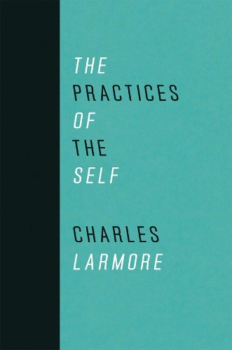 Бумажная книга «The Practices of the Self», автор Чарльз Лармор - фото №1