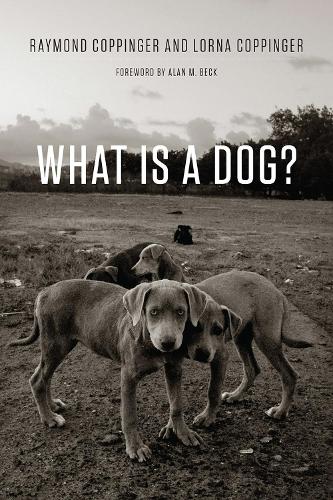 Бумажная книга «What Is a Dog?», авторов Лорна Коппингер, Раймонд Коппингер - фото №1