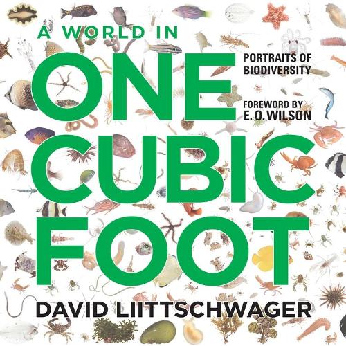 Бумажная книга «A World in One Cubic Foot: Portraits of Biodiversity», автор Дэвид Лийтшвагер - фото №1