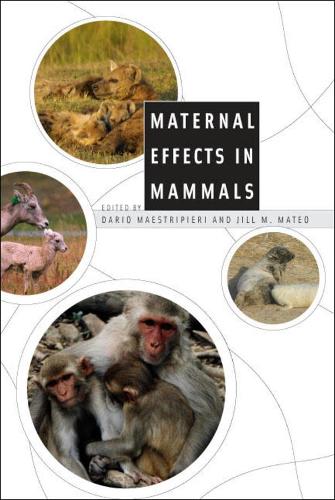 Бумажная книга «Maternal Effects in Mammals», автор Дарио Маэстрипьери - фото №1
