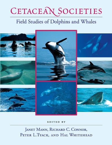 Бумажная книга «Cetacean Societies: Field Studies of Dolphins and Whales», автор Джанет Манн - фото №1