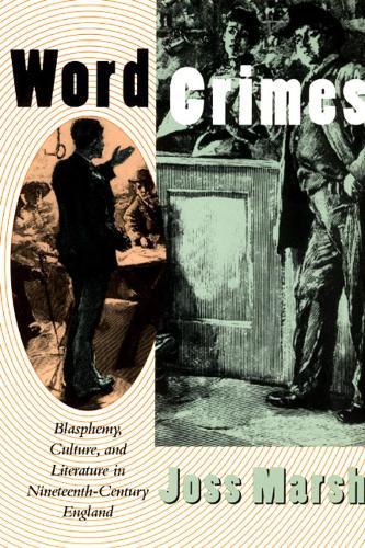 Бумажная книга «Word Crimes: Blasphemy, Culture, and Literature in Nineteenth-Century England», автор Джосс Марш - фото №1