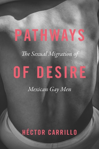 Бумажная книга «Pathways of Desire: The Sexual Migration of Mexican Gay Men», автор Гектор Каррильо - фото №1