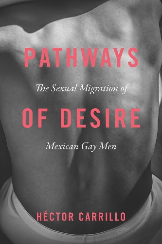 Бумажная книга «Pathways of Desire – The Sexual Migration of Mexican Gay Men», автор Гектор Каррильо - фото №1