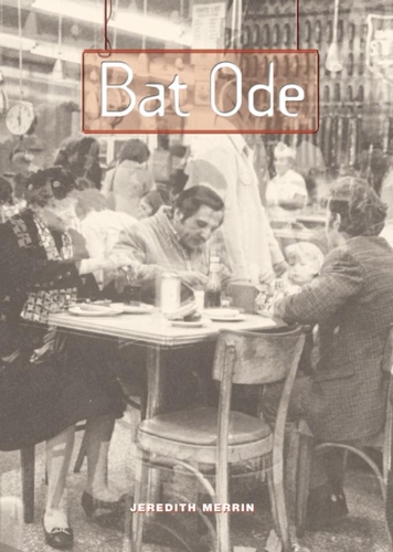 Паперова книга «Bat Ode», автор Джередіт Меррін - фото №1