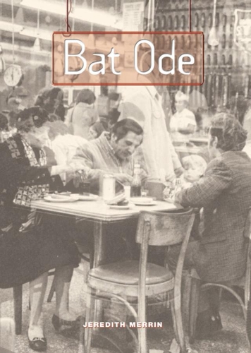 Паперова книга «Bat Ode», автор Джередіт Меррін - фото №1