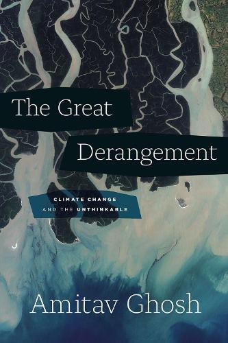 Паперова книга «The Great Derangement: Climate Change and the Unthinkable», автор Амітав Гош - фото №1