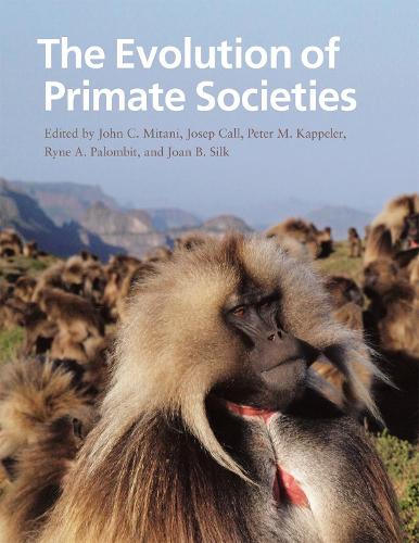 Бумажная книга «The Evolution of Primate Societies», автор Джон К. Митани - фото №1
