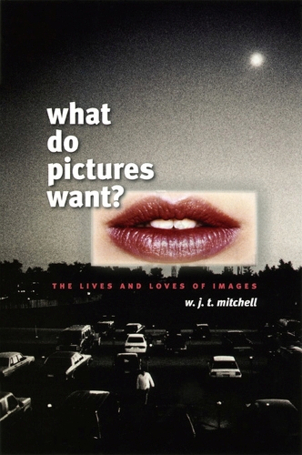 Бумажная книга «What Do Pictures Want?: The Lives and Loves of Images», автор В. Дж. Т. Митчелл - фото №1