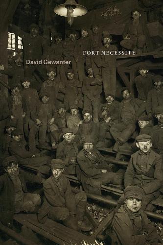 Паперова книга «Fort Necessity», автор Девід Гевантер - фото №1
