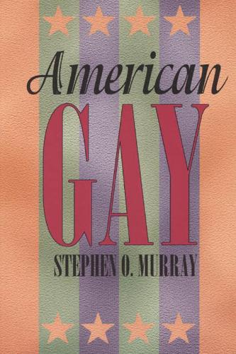 Паперова книга «American Gay», автор Стівен О. Мюррей - фото №1