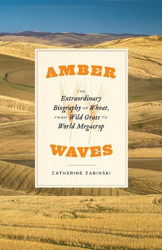 Бумажная книга «Amber Waves: The Extraordinary Biography of Wheat, from Wild Grass to World Megacrop», автор Кэтрин Забински - фото №1