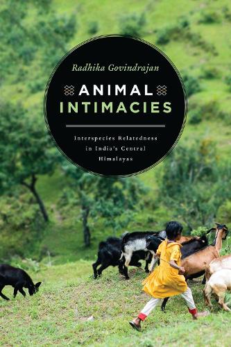 Бумажная книга «Animal Intimacies: Interspecies Relatedness in India's Central Himalayas», автор Радхика Говиндраджан - фото №1