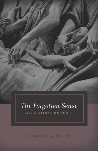 Бумажная книга «The Forgotten Sense: Meditations on Touch», автор Пабло Моретте - фото №1