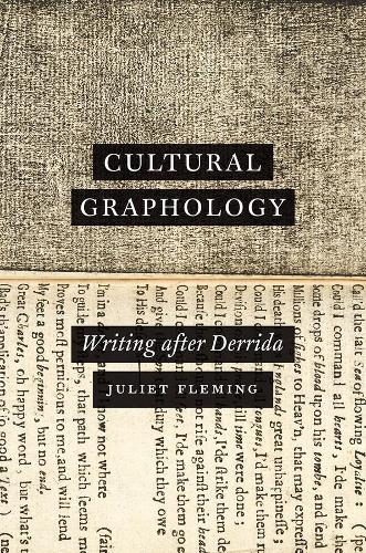 Бумажная книга «Cultural Graphology: Writing after Derrida», автор Джульетта Флеминг - фото №1
