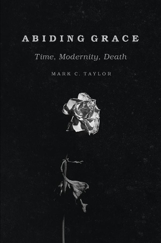 Паперова книга «Abiding Grace: Time, Modernity, Death», автор Марк К. Тейлор - фото №1