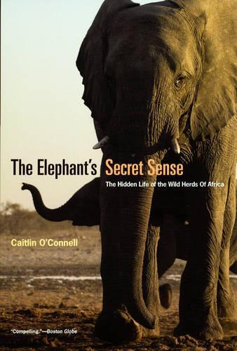 Бумажная книга «The Elephant`s Secret Sense – The Hidden Life of the Wild Herds of Africa», автор Кейтлин О'Коннелл - фото №1