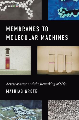 [object Object] «Membranes to Molecular Machines: Active Matter and the Remaking of Life», автор Матиас Гроте - фото №1