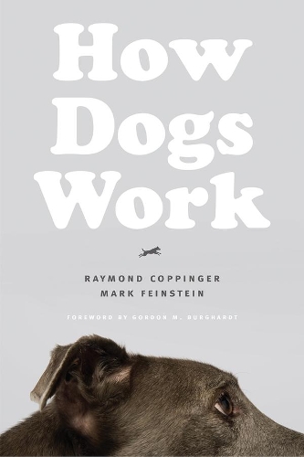 Паперова книга «How Dogs Work», авторів Марк Файнштайн, Реймонд Коппінгер - фото №1