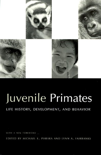 Паперова книга «Juvenile Primates: Life History, Development and Behavior, with a new Foreword», автор Майкл Е. Перейра - фото №1