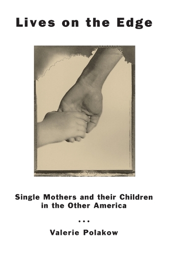 Бумажная книга «Lives on the Edge: Single Mothers and Their Children in the Other America», автор Валери Поляков - фото №1