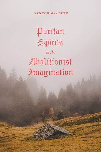 Бумажная книга «Puritan Spirits in the Abolitionist Imagination», автор Кеньон Градерт - фото №1
