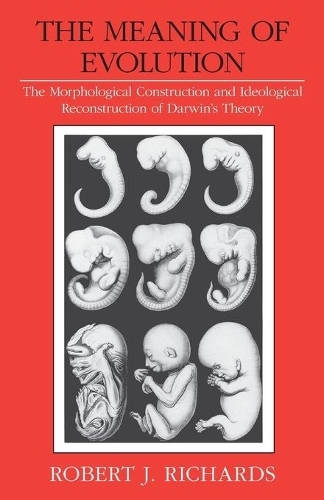 [object Object] «The Meaning of Evolution: The Morphological Construction and Ideological Reconstruction of Darwin's Theory», автор Роберт Дж. Річардс - фото №1