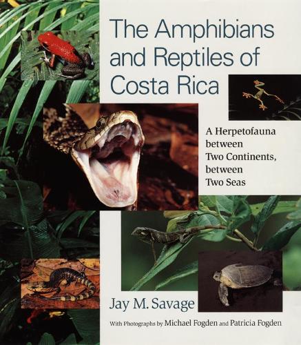Бумажная книга «The Amphibians and Reptiles of Costa Rica: A Herpetofauna between Two Continents, between Two Seas», автор Джей М. Сэвидж - фото №1