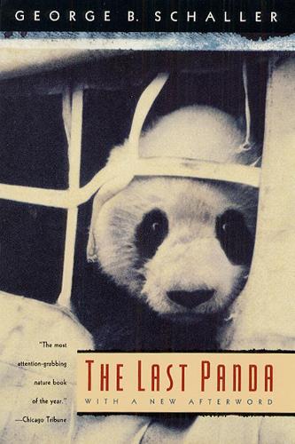 Паперова книга «The Last Panda», автор Джордж Б. Шаллер - фото №1