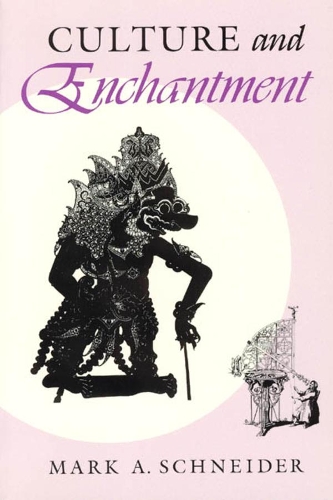 Бумажная книга «Culture and Enchantment», автор Марк А. Шнайдер - фото №1
