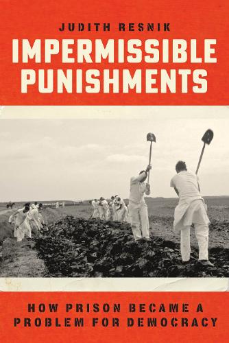 Бумажная книга «Impermissible Punishments: How Prison Became a Problem for Democracy», автор Джудит Резник - фото №1